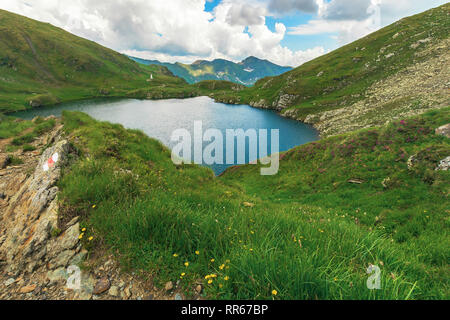 summer time in romanian carpathians. beautiful landscape of fagaras mountains. lake capra down in the valley. cloudy afternoon Stock Photo