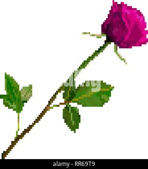 Pixel art rose flower isolated on white background Stock Vector