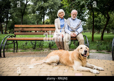 happy senior couple sitting on wooden bench with golden retriever dog lying nearby Stock Photo