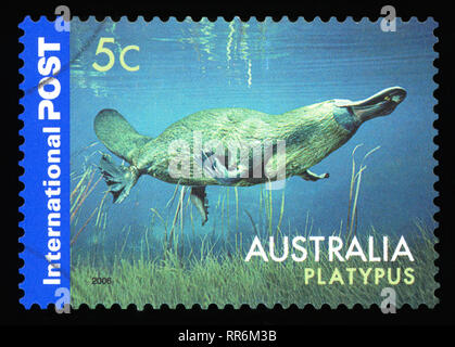 AUSTRALIA - CIRCA 2006: A Stamp printed in AUSTRALIA shows the Platypus, Animals series, circa 2006 Stock Photo