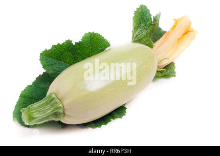 zucchini with flower and leaf isolated on white background Stock Photo