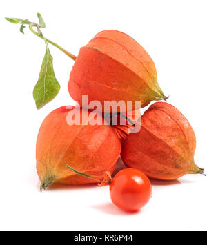 husk tomatoes or physalis with leaf isolated on white background Stock Photo
