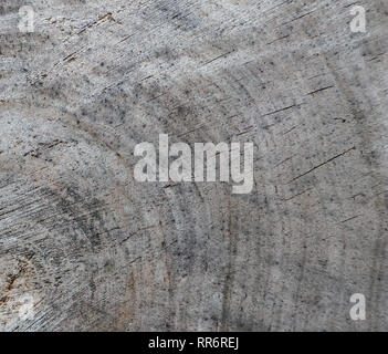 Background from cross section of tree trunk. Abstract texture from the rings of old weathered wood with a crack Stock Photo