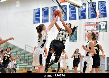 Player takes to the air to complete a drive to the hoop and though the shot did not fall, she was fouled on the play. USA. Stock Photo