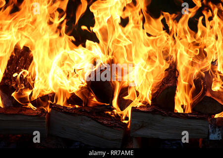 General views of Charity Fire Walking at Aldingbourne Trust in West Sussex, UK. Stock Photo