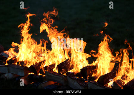 General views of Charity Fire Walking at Aldingbourne Trust in West Sussex, UK. Stock Photo