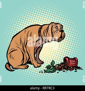 Bad dog broke a potted houseplant. Pop art retro vector illustration vintage kitsch Stock Vector