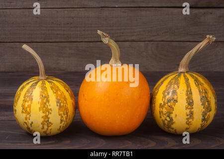 Orange and striped decorative pumpkins on a wooden background Stock Photo