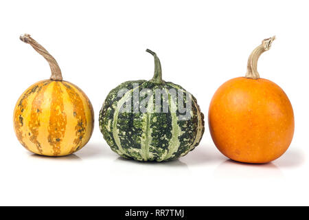 three decorative pumpkins isolated on white background Stock Photo