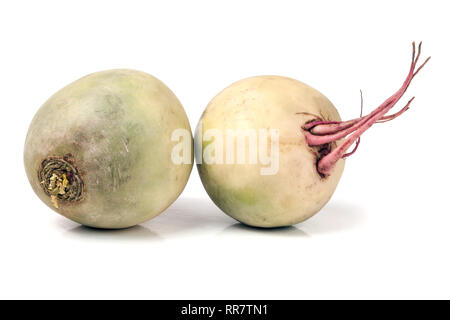 Two watermelon radish isolated on white background Stock Photo