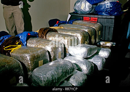 Palmer Park, Maryland, USA, 1989 Prince Georges County Police display the 400 plus pounds of marijuana seized in a raid on one drug dealers apartment in the county. Stock Photo