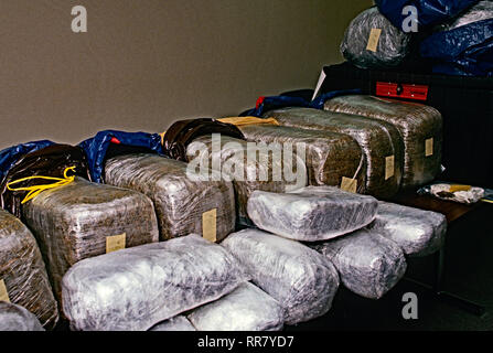 Palmer Park, Maryland, USA, 1989 Prince Georges County Police display the 400 plus pounds of marijuana seized in a raid on one drug dealers apartment in the county. Stock Photo