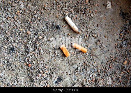 where did tobacco originate Tobacco History
