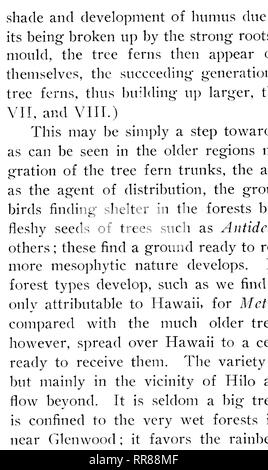 . Botanical bulletin. Botany. PLATE XI.. A rather recent (pahoehoe) smooth lava flow, with Metrosideros collina poly morpha var. incana, and Sadleria cya- theoides growing on its margin. An overflow from the Volcano of Kilauea, Hawaii, on to the ash fields of Kau desert.. Please note that these images are extracted from scanned page images that may have been digitally enhanced for readability - coloration and appearance of these illustrations may not perfectly resemble the original work.. Hawaii. Division of Forestry. Honolulu : Division of Forestry Stock Photo