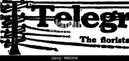 . Florists' review [microform]. Floriculture. 124 The Florists^ Review NOVBMBEB 23. 1922. The llortoto whose cards appear on the pages carrying this head, are prepared to flu orders from other florists for local deUvery on the usual basis.. Please note that these images are extracted from scanned page images that may have been digitally enhanced for readability - coloration and appearance of these illustrations may not perfectly resemble the original work.. Chicago : Florists' Pub. Co Stock Photo