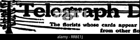 . Florists' review [microform]. Floriculture. 124 The Florists^ Review Dkcbmbeb 14, 1022. JTie flortoto whose canU appear on the pages carrytng this head, are prepared to fill oiden from other florists for local delivery on the usual basis.. Please note that these images are extracted from scanned page images that may have been digitally enhanced for readability - coloration and appearance of these illustrations may not perfectly resemble the original work.. Chicago : Florists' Pub. Co Stock Photo