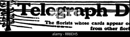 . Florists' review [microform]. Floriculture. 102 The Horists^ Review Deceubeb 14, 1022. JThe florists whose cards appear on the pages carrying this head, are prepared to fill orders **&quot; from other florists for local delivery on the usual basis. &quot;&quot; ?. Please note that these images are extracted from scanned page images that may have been digitally enhanced for readability - coloration and appearance of these illustrations may not perfectly resemble the original work.. Chicago : Florists' Pub. Co