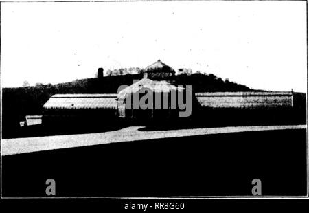 . Florists' review [microform]. Floriculture. When The Impossible Becomes Possible At the Pennsylvania Training School, Morganza, Pa., the only available space for a greenhouse range was on the cre^ and side of a ^eep hill. Mo^ people who knew, or thought they knew, about greenhouses, said hat it would be impossible to build greenhouses on that slope and, besides that, the co^ would be prohibitive. GREENHOUSES are on that slope and King Con^rudtion changed the seemingly impossible to possible. What is more, these houses add to the beauty of the Pennsylvania Training School; produce a good quan Stock Photo