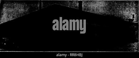 . Florists' review [microform]. Floriculture. NOTICE TO FLORISTS This Cold Storage Plant is filled with first-class FANCY FERNS We are the only dealers in ferns operating a cold storage. Our stock is always fresh and clean. Write for prices. ROBERT GROVES, Inc., 127 Commercial Street, ADAMS, MASS. Mention The Review when yon write. WILD SMILAX FRESH FROM THE WOODS 60-ib. cases, $3.00 Write, wire or phone. KNUD NIELSEN. EVERGREEN, AU.. Please note that these images are extracted from scanned page images that may have been digitally enhanced for readability - coloration and appearance of these i Stock Photo