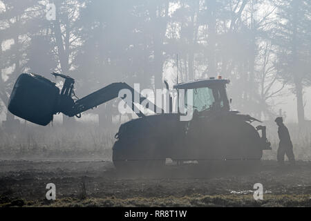 A farmer checks his front end loader in the fog while feeding out on a West Coast dairy farm, New Zealand Stock Photo