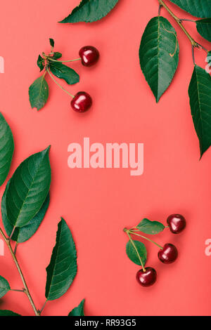 Leaves, berries of cherry tree on red background. Minimal style. Copy space room for text Stock Photo