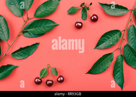 Leaves, berries of cherry tree on red background. Minimal style. Copy space room for text Stock Photo
