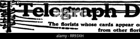 . Florists' review [microform]. Floriculture. 130 The Florists' Review Max 4. 1022.  The flortote whose cards appear on the pages carrying this head, are prepared to fill orders &quot;&quot;' from other florists for local delivery on the usual basis. ?&quot; &quot;. Please note that these images are extracted from scanned page images that may have been digitally enhanced for readability - coloration and appearance of these illustrations may not perfectly resemble the original work.. Chicago : Florists' Pub. Co Stock Photo