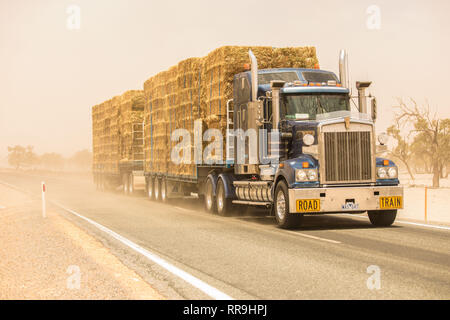 A road train trucking cattle feed north during a dust storm to drought affected areas of New South Wales in Australia Stock Photo