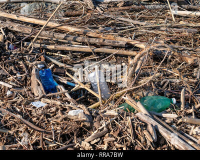 Beach debris washed up after winter storm. Wood branches drfitwood and plastic bottles. Storm aftermath. Stock Photo