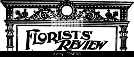 . Florists' review [microform]. Floriculture. 36 The Florists^ Review Apeil 27. 1922. Please note that these images are extracted from scanned page images that may have been digitally enhanced for readability - coloration and appearance of these illustrations may not perfectly resemble the original work.. Chicago : Florists' Pub. Co Stock Photo