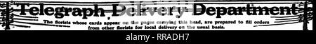 . Florists' review [microform]. Floriculture. May 11, 1922 The Florists^ Review. Please note that these images are extracted from scanned page images that may have been digitally enhanced for readability - coloration and appearance of these illustrations may not perfectly resemble the original work.. Chicago : Florists' Pub. Co