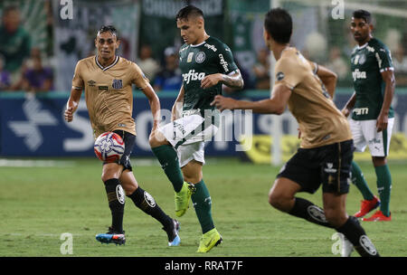 SP - Sao Paulo - 04/03/2022 - PAULISTA 2022 FINAL, PALMEIRAS X SAO PAULO -  Palmeiras player Raphael Veiga celebrates his goal during a match against Sao  Paulo at the Arena Allianz