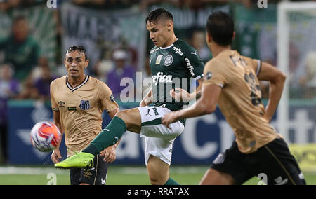 SP - Sao Paulo - 04/03/2022 - PAULISTA 2022 FINAL, PALMEIRAS X SAO PAULO -  Palmeiras player Raphael Veiga celebrates his goal during a match against Sao  Paulo at the Arena Allianz