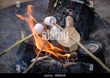 Toasting marshmallows on an open fire Stock Photo