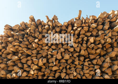 Firewood logs piled on to a heap, drying in the sun. Natural texture. Horizontal composition, cross section view Stock Photo