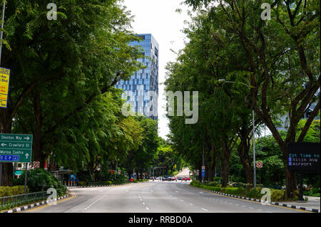 Roads with green tree in Singapore Stock Photo