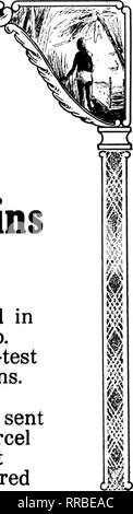 . Florists' review [microform]. Floriculture. PER CARTON (10 IbM.) Packed in 10-lb. freight-test cartons. Can be sent by parcel post if desired. Please note that these images are extracted from scanned page images that may have been digitally enhanced for readability - coloration and appearance of these illustrations may not perfectly resemble the original work.. Chicago : Florists' Pub. Co Stock Photo