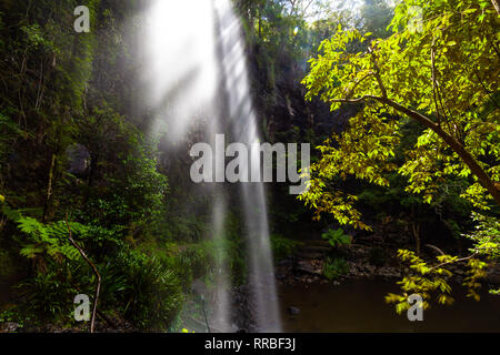 Twin falls and sunshine in Springbrook National Park rainforest. Queensland, Australia Stock Photo