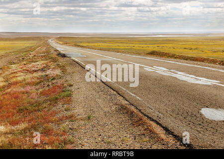 asphalt road Sainshand Zamiin-Uud in Mongolia, Gobi Desert Stock Photo