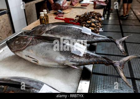 Whole tuna for sale at the Lavradores fish market, Funchal, Madeira, Portugal. Stock Photo