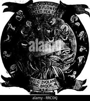 . Florists' review [microform]. Floriculture. 130 The Rorists' Review Januabx 18, 1922 NEW Hybrid Winter-flowering BEGONIAS The Finest Winter-blooming Plants on Earth; GloriousColors; Masses of Flowers WE HAVE THE LARGEST STOCK IN THE WORLD BUY FROM THE RAISERS Strong Tubers for Shipment February and March. ORDER YOURS TODAY Many of the following have received Britain's Premier award from The Royal Horticultural Society. Per Kach Doz. AI^TBnrOSABC FZHK . .90.65 • lAO Bright pink, double, large, grand. BSACOH 65 6.00 Scarlet-red, double, free, compact. BEAUTT or KAKZi .65 6.00 Salmon-rose, doub Stock Photo