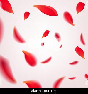 falling petals of pink roses on a white background Stock Vector Image & Art  - Alamy