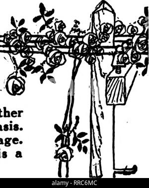 . Florists' review [microform]. Floriculture. Telegraph Delivery: THE florists whose cards appear in the Pink Part of The Florists' Review are prepared to fill orders from other florists, for local delivery, on the usual basis. See index by towns on the following page. If your city is not represented, there is a specially good opportunity for you.. 4&gt;]umiiHiaiuuiuuKaiiiMaiimauimniiiniiniinnniiiniiiinoininiiiiianiiiHiinoiniiwiioiiHiiinnraiiiiiiHinc]iiiiimMn CLEVELAND' OHIO Florists' telegraph, telephone or mail orders given personal care and attention. No order too large. No order too small.