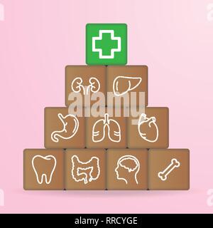 Human Organs Icons On Wooden Blocks Isolated On A White Background. Vector Illustration. Stock Vector
