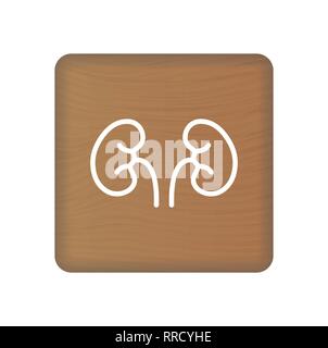 Human Kidney Icon. An Internal Organ Vector. Human Anatomy Illustration. Sign Symbol For Medical Presentation On Wooden Blocks Isolated On A White Stock Vector