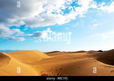 a panoramic view of the sand dunes of Maspalomas, in the Canary Islands, Spain, with the Atlantic ocean in the background Stock Photo