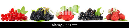 Various Berries Panorama on white Background Stock Photo