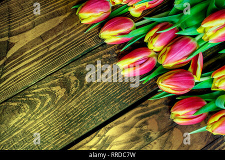 orange yellow colored tulips on wooden background. Top view. easter decoration Stock Photo