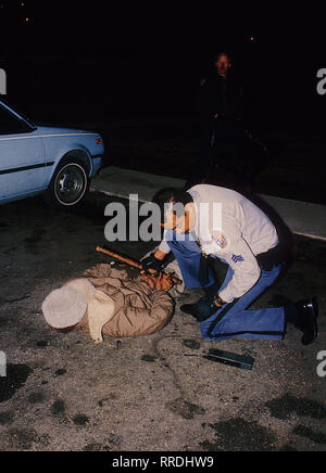 Langley Park, Maryland. March 12, 1988 Prince Georges County Maryland police officers use a canine to help them apprehend a suspected crack cocaine dealer who had run up onto the top of the blue car trying to get away from the officers. The canine handler sent the dog up onto the car to drag the suspect down to where they could handcuff the suspect and complete the arrest. Credit: Mark Reinstein / MediaPunch Stock Photo