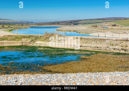 Walk to Cuckmere Haven beach near Seaford, East Sussex, England. South Downs National park. View of blue waters of the river, birds, selective focus Stock Photo